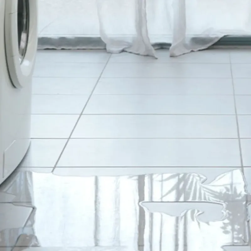 Appliance Leak Cleanup in Four Seasons, MO