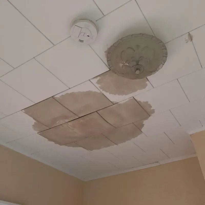 Ceiling Water Damage Repair in Four Seasons, MO