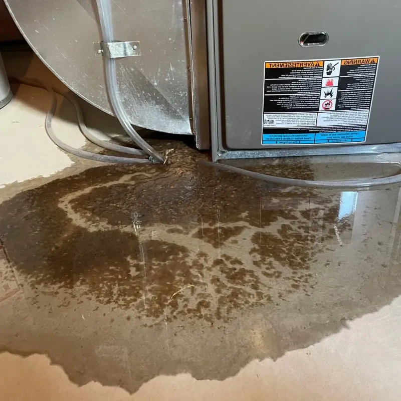 Pipe Burst and Leak Restoration in Four Seasons, MO