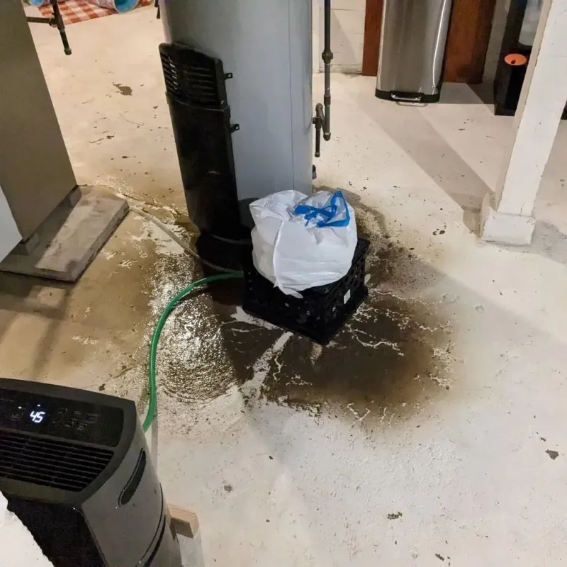 Sewage Backup Cleanup Service in Four Seasons, MO